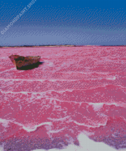 Pink Lake Retba Diamond Paintings