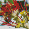 Two Bees On Pohutukawa Flower Diamond Paintings