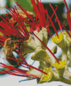 Two Bees On Pohutukawa Flower Diamond Paintings