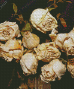 White Dying Rose Diamond Paintings