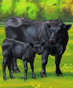 Aberdeen Angus Cows Diamond Paintings