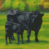 Aberdeen Angus Cows Diamond Paintings