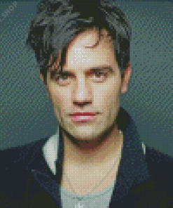 Actor Ramin Karimloo Diamond Paitntings