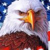 Aesthetic American Eagle With Flag Diamond Paintings