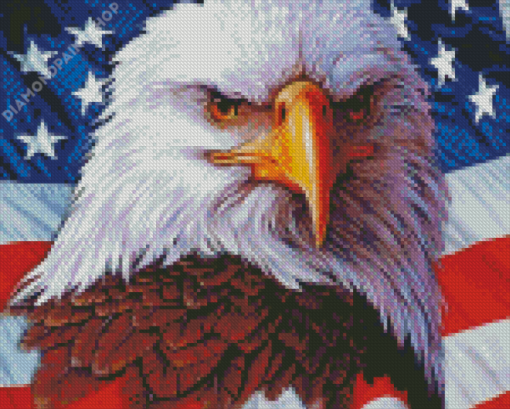 Aesthetic American Eagle With Flag Diamond Paintings