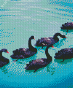 Aesthetic Black Swans Diamond Paintings