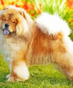 Aesthetic Chow Chow Animal Diamond Paintings