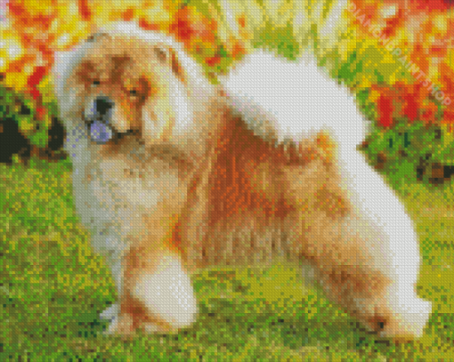 Aesthetic Chow Chow Animal Diamond Paintings