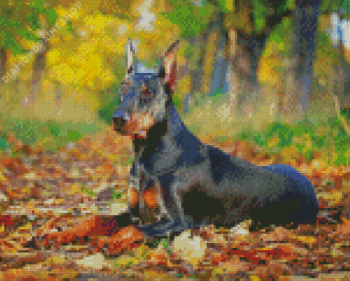 Aesthetic Doberman Pinscher Diamond Paintings