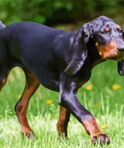 Black And Tan Coonhound Animal Diamond Paintings