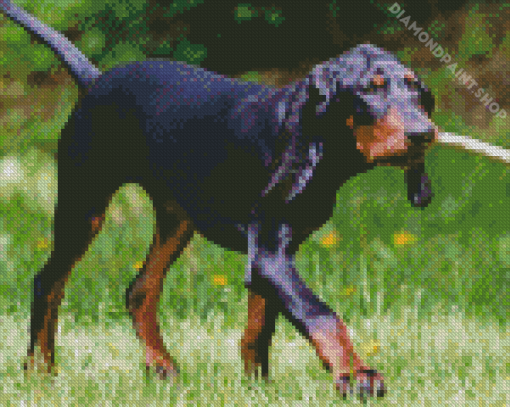 Black And Tan Coonhound Animal Diamond Paintings