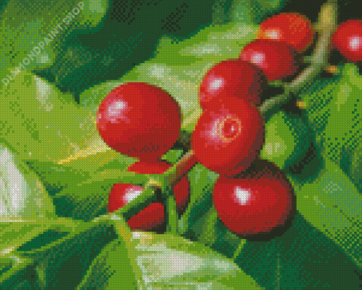 Coffee Plant Branch Diamond Paintings