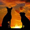 Dogs Watching Sunset Diamond Paintings