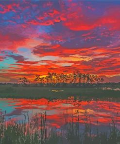 Florida Sunset Big Cypress Diamond Paintings