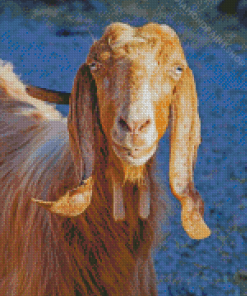 Long Eared Goat Animal Diamond Paintings