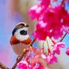 Long Tailed Tit On A Flower Tree Diamond Paintings