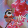 Long Tailed Tit On A Flower Tree Diamond Paintings