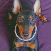 Manchester Terrier Diamond Paintings