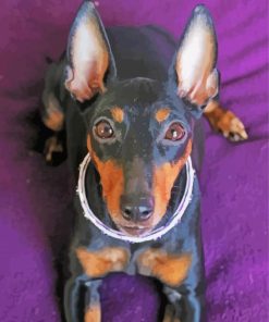 Manchester Terrier Diamond Paintings