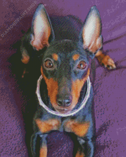 Manchester Terrier Diamond Paintings