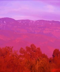 Ojai Pink Moment Diamond Paintings