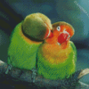 Parrot Love Bird Diamond Paintings