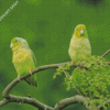 Parrotlet Birds On Tree Diamond Painting