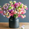 Sweet Pea Flower Illustration Diamond Paintings