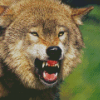 Aesthetic Angry Wolf Illustration Diamond Paintings