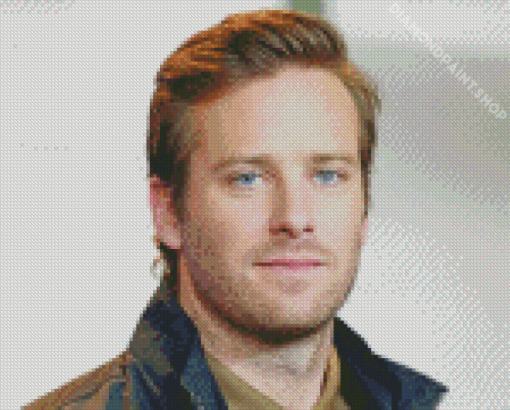 Aesthetic Armie Hammer Actor Diamond Paintings