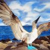 Aesthetic Blue Footed Boob Diamond Paintings