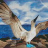 Aesthetic Blue Footed Boob Diamond Paintings