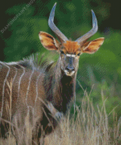 Aesthetic Nyala Animal Diamond Painting