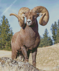 Aesthetic Ram Sheep Diamond Painting