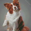 Aesthetic Brown Border Collie Pet Diamond Paintings