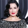 Aesthetic Dita Von Teese Diamond Paintings