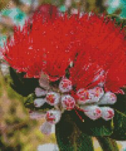 Aesthetic Red Pohutukawa Flower Diamond Painting