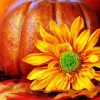 Cool Fall Pumpkin Scene Diamond Paintings