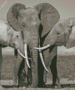 Elephants Family Snuggling Diamond Paintings