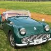 Green Triumph TR3A Diamond Paintings