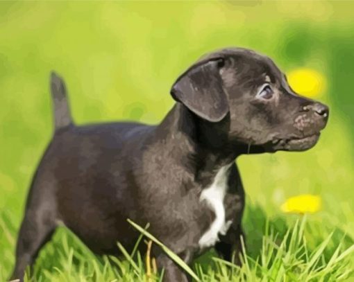 Little Patterdale Terrier Diamond Paintings