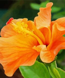 Orange Hibiscus Diamond Paintings