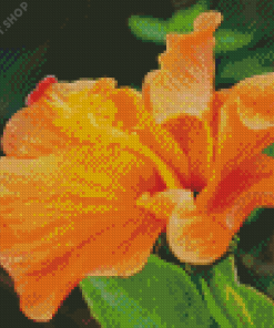 Orange Hibiscus Diamond Paintings