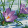 Purple Spring Flower In Snow Diamond Painting