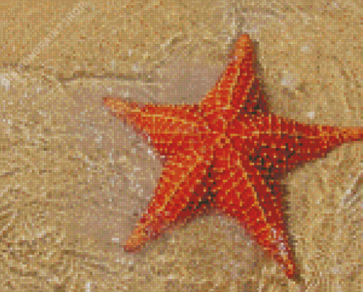 Red Starfish In Beach Diamond Paintings