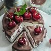 Tasty Cherry Chocolate Cake Diamond Paintings