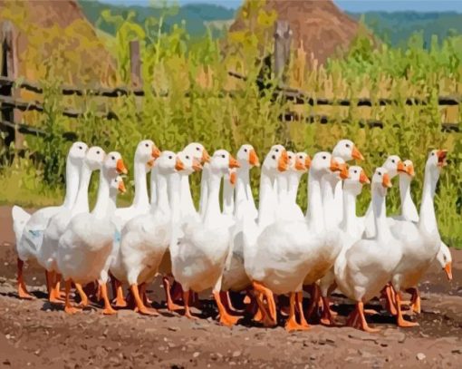 White Geese Goose Diamond Paintings