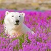 White Polar Bear In Flowers Field Diamond Painting