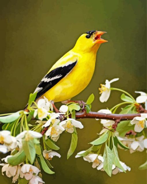 Yellow Finch On Tree Diamond Painting