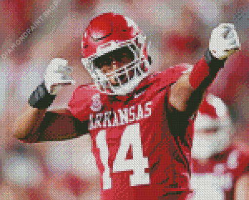 Arkansas Razorbacks Player Diamond Painting